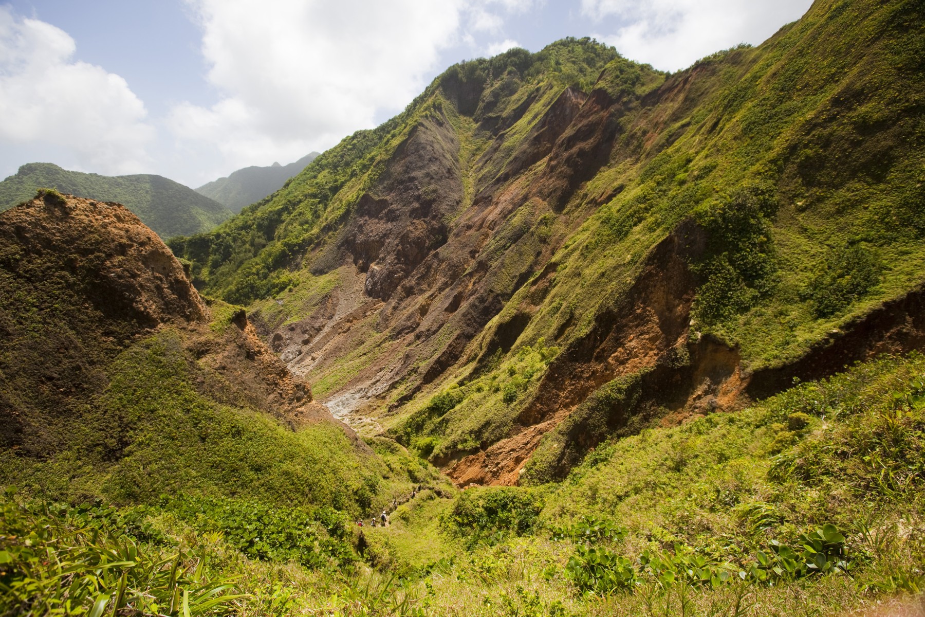 Jungle Bay Dominica